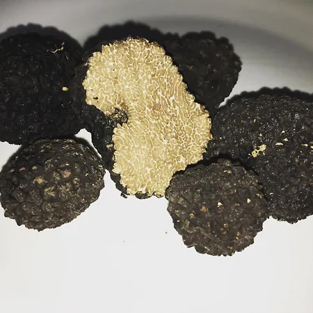 Farm stay Di Federico Balze