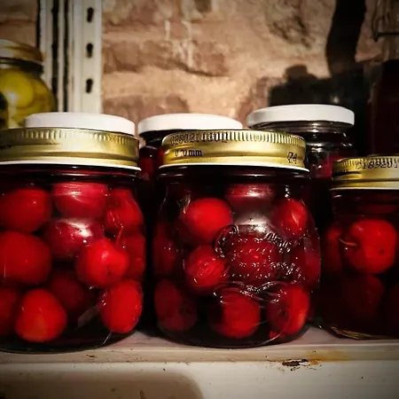 Bauernhof Di Federico *