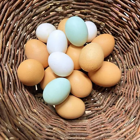 Bauernhof Di Federico *