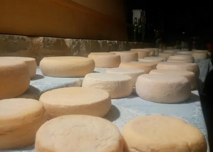 Di Federico 팜스테이