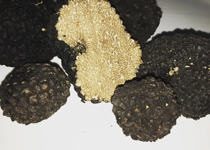 Vakantieboerderij Di Federico Balze