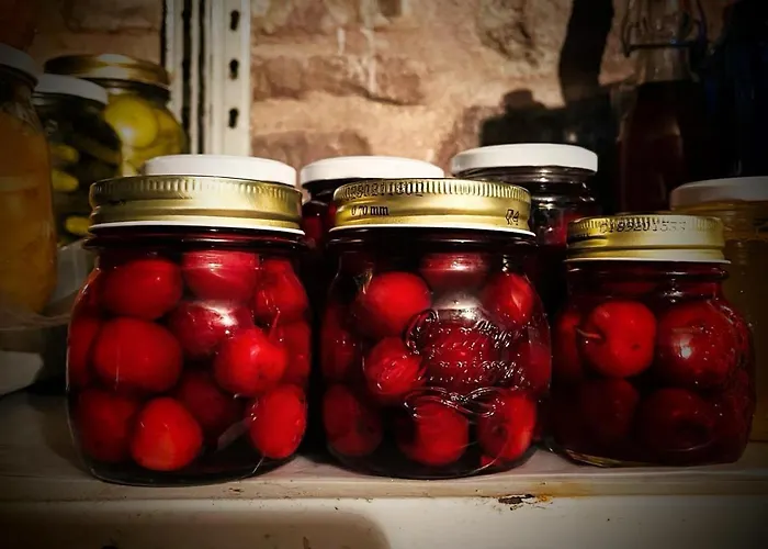 팜스테이 Di Federico *