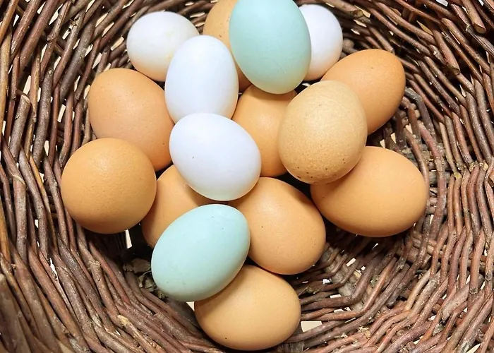 팜스테이 Di Federico *